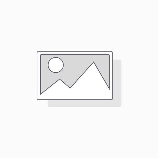 Odoo Property Application Account